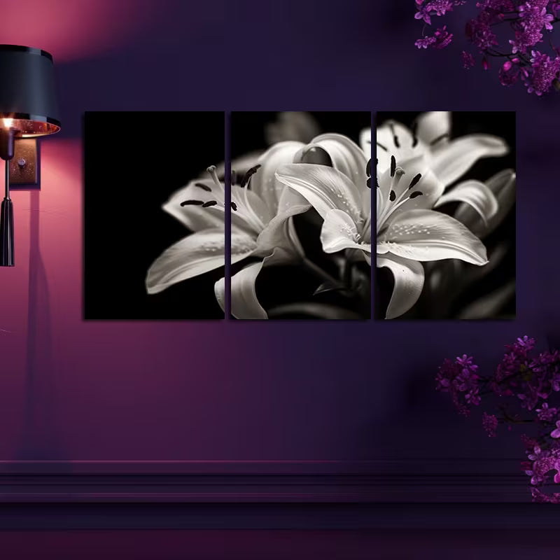 3pcs Black & White Photography of Lilies Wall Art Set Canvas Framed 50x70cm - High Quality Print 100% Australian Made Wall Canvas Ready to Hang - Bella Home Decor