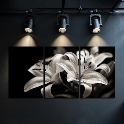 3pcs Black & White Photography of Lilies Wall Art Set Canvas Framed 40x60cm - High Quality Print 100% Australian Made Wall Canvas Ready to Hang - Bella Home Decor