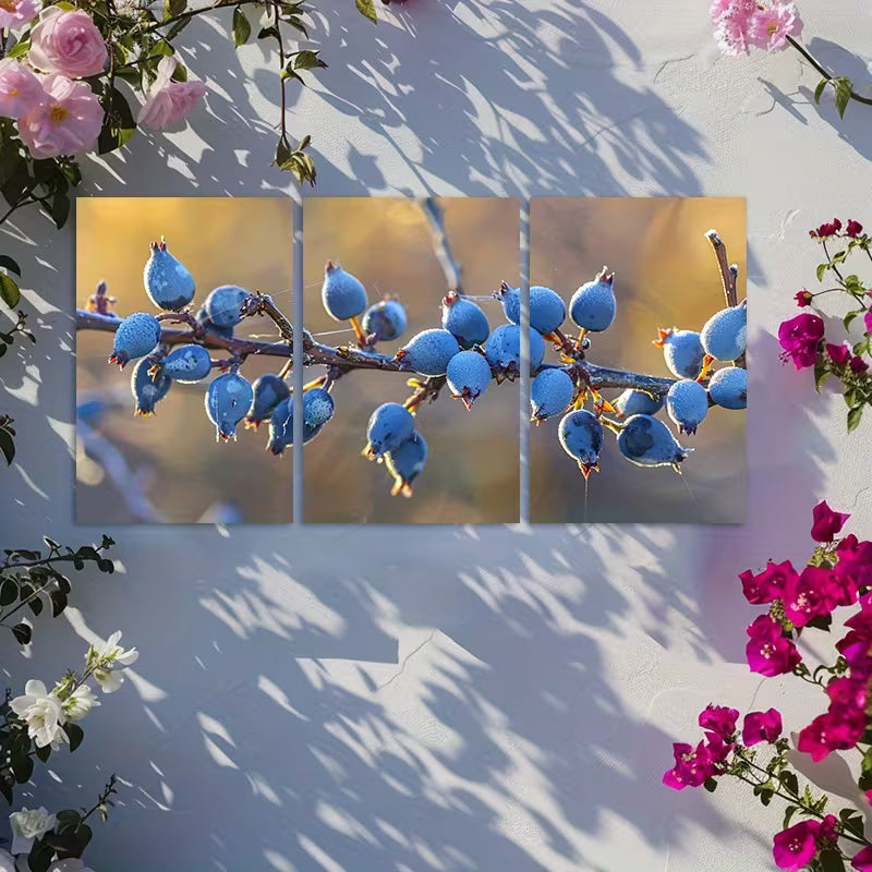 3pcs The Berries of the Bearberry plant Wall Art Set Canvas Framed 40x60cm - High Quality Print 100% Australian Made Wall Canvas Ready to Hang