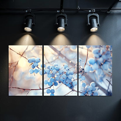 3pcs Blue Berries on Brambles Nature-Inspired Wall Art Set Canvas Framed 40x60cm - High Quality Print 100% Australian Made Wall Canvas Ready to Hang - Bella Home Decor