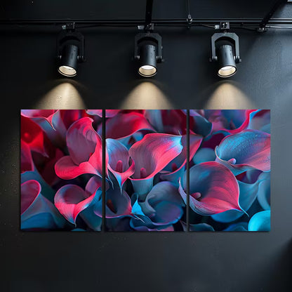 3pcs Calla Lilies Captured in a Soft Focus Photo Wall Art Set Canvas Framed 50x70cm - High Quality Print 100% Australian Made Wall Canvas Ready to Hang - Bella Home Decor