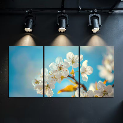 3pcs White Cherry Blossoms Against Blue Sky Wall Art Set Canvas Framed 40x60cm - High Quality Print 100% Australian Made Wall Canvas Ready to Hang