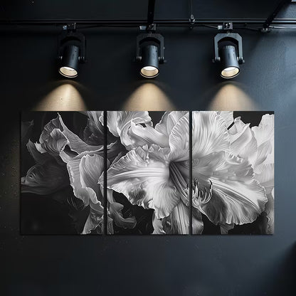 3pcs Black & White Closeup of Flowers Wall Art Set Canvas Framed 60x90cm - High Quality Print 100% Australian Made Wall Canvas Ready to Hang - Bella Home Decor