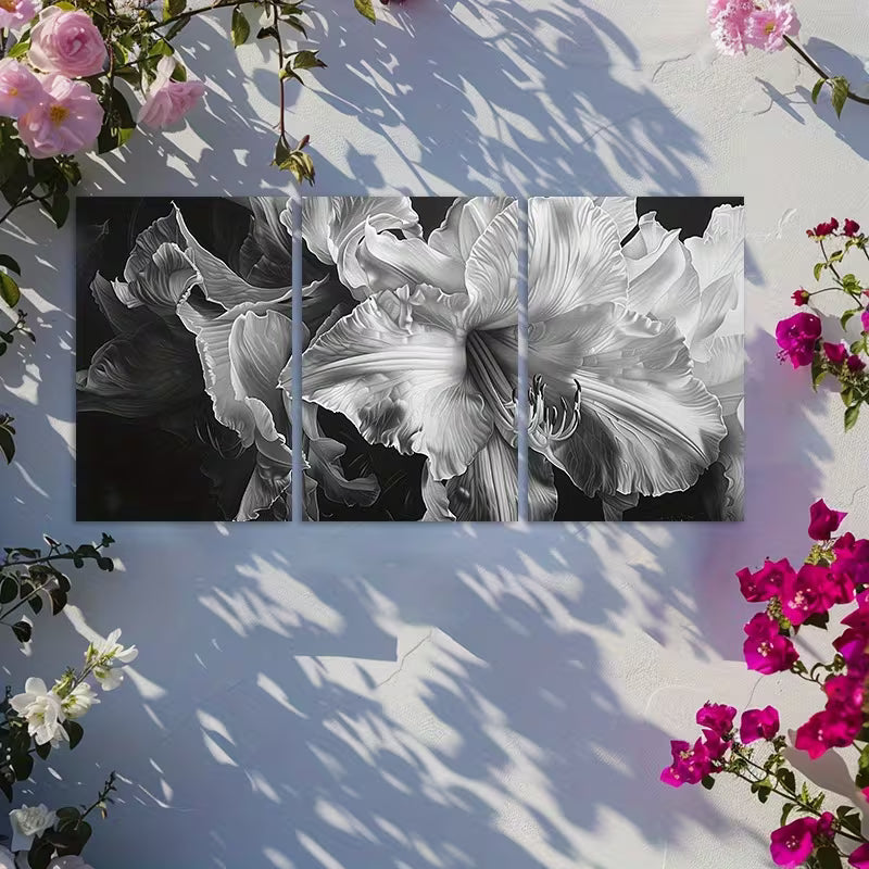 3pcs Black & White Closeup of Flowers Wall Art Set Canvas Framed 50x70cm - High Quality Print 100% Australian Made Wall Canvas Ready to Hang - Bella Home Decor