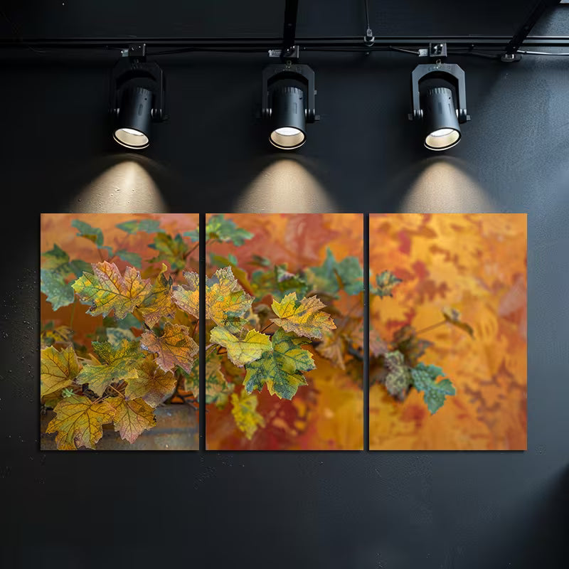 3pcs Colorful Autumn Leaves in Orange Shades Wall Art Set Canvas Framed 50x70cm - High Quality Print 100% Australian Made Wall Canvas Ready to Hang - Bella Home Decor