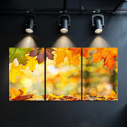 3pcs Autumn Leaves Vibrant Fall Foliage Wall Art Set Canvas Framed 60x90cm - High Quality Print 100% Australian Made Wall Canvas Ready to Hang - Bella Home Decor