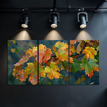 3pcs Colorful Autumn Leaves in Various Shades Wall Art Set Canvas Framed 40x60cm - High Quality Print 100% Australian Made Wall Canvas Ready to Hang - Bella Home Decor
