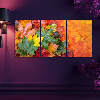 3pcs Vibrant Autumn Leaves in Different Shades Wall Art Set Canvas Framed 40x60cm - High Quality Print 100% Australian Made Wall Canvas Ready to Hang