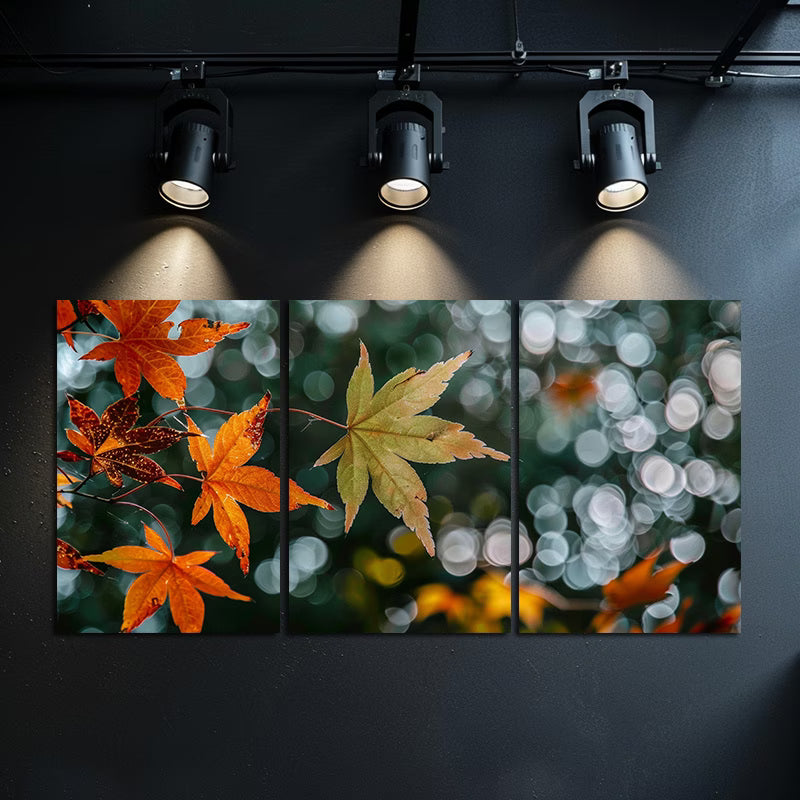 3pcs Colorful Autumn Leaves in Orange Shades Wall Art Set Canvas Framed 50x70cm - High Quality Print 100% Australian Made Wall Canvas Ready to Hang
