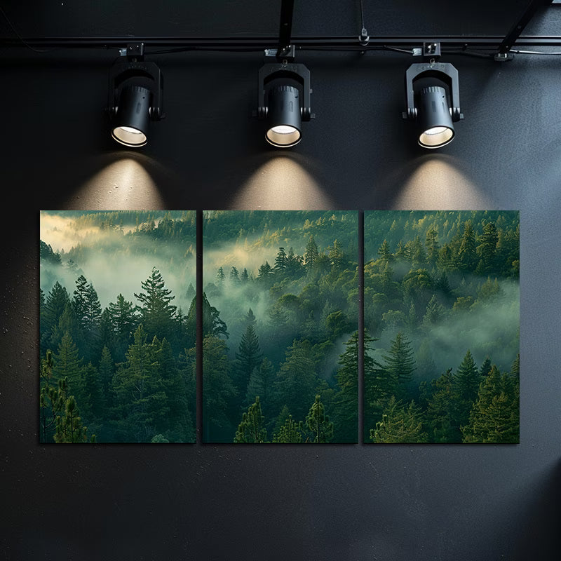 3pcs Dense Forest with Morning Fog Wall Art Set Canvas Framed 50x70cm - High Quality Print 100% Australian Made Wall Canvas Ready to Hang - Bella Home Decor
