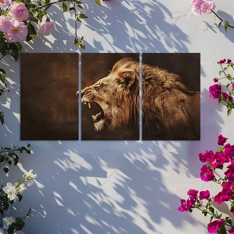 3pcs Photograph of a Male Lion Roaring Wall Art Set Canvas Framed 50x70cm - High Quality Print 100% Australian Made Wall Canvas Ready to Hang