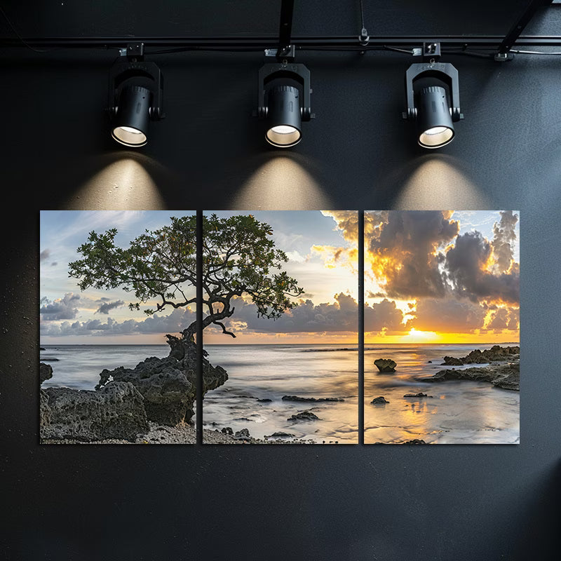 3pcs Serene Sunset Mangrove & Rocks Scene Wall Art Set Canvas Framed 60x90cm - High Quality Print 100% Australian Made Wall Canvas Ready to Hang