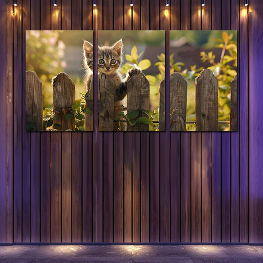 3pcs Charming Kitten at the Fence Wall Art Set Canvas Framed 50x70cm - High Quality Print 100% Australian Made Wall Canvas Ready to Hang