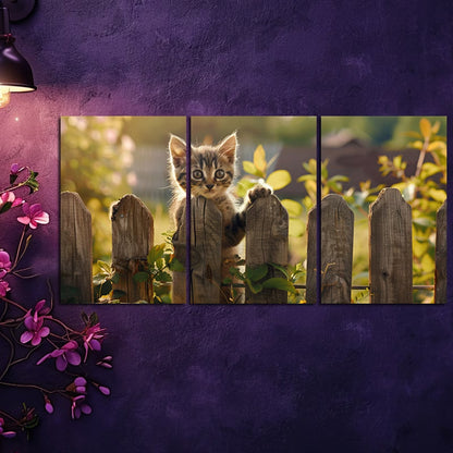 3pcs Charming Kitten at the Fence Wall Art Set Canvas Framed 40x60cm - High Quality Print 100% Australian Made Wall Canvas Ready to Hang - Bella Home Decor