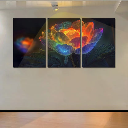 3pcs Peony Flower with Rainbow Colors Wall Art Set Canvas Framed 60x90cm - High Quality Print 100% Australian Made Wall Canvas Ready to Hang