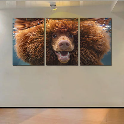 3pcs A Poodle Underwater Wall Art Set Canvas Framed 50x70cm - High Quality Print 100% Australian Made Wall Canvas Ready to Hang - Bella Home Decor