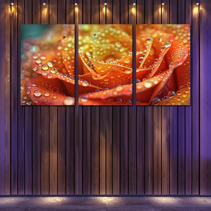3pcs Abstract Colorful Rose with Water Drops Wall Art Set Canvas Framed 50x70cm - High Quality Print 100% Australian Made Wall Canvas Ready to Hang - Bella Home Decor