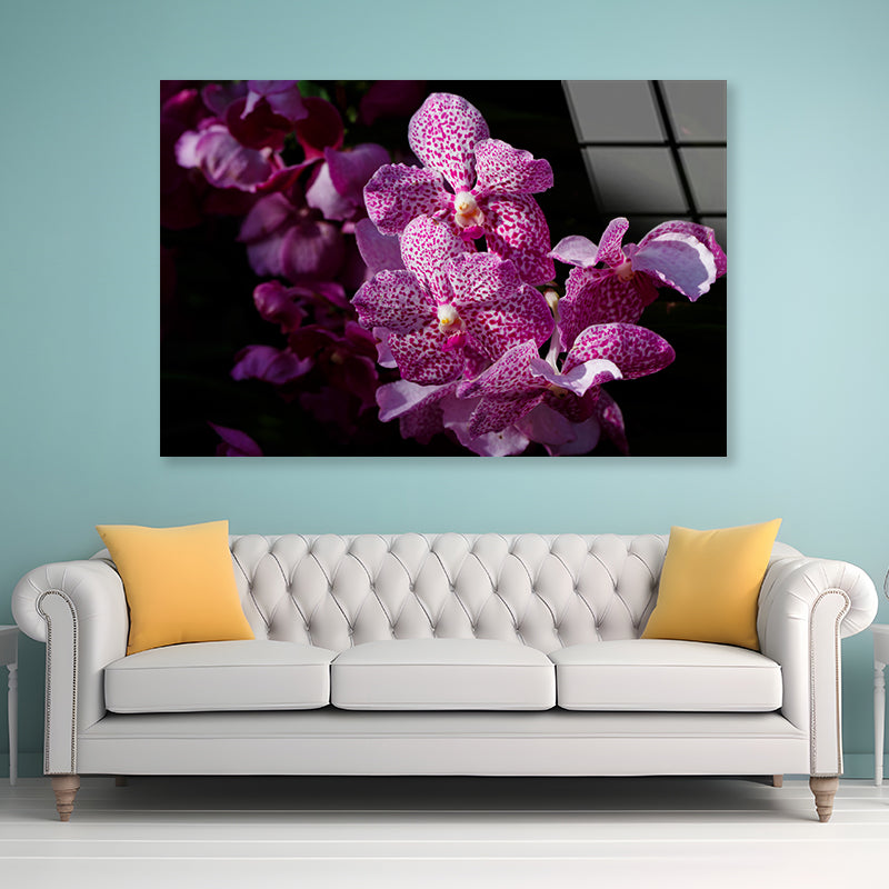 A Close-Up Photo Of Purple Orchid Flowers Acrylic Glass Print Tempered Glass Wall Art 100% Made in Australia Ready to Hang