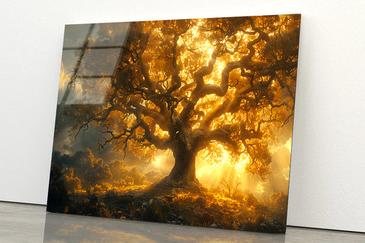 Sunset in the Forest View Acrylic Glass Print Tempered Glass Wall Art 100% Made in Australia Ready to Hang - Bella Home Decor