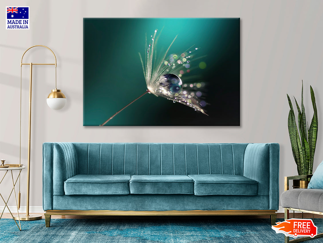 Water Droplet on Common Dandelion Print 100% Australian Made - Bella Home Decor