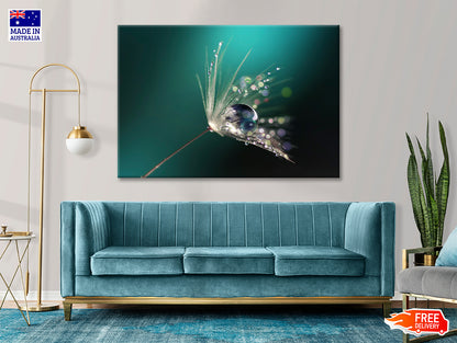 Water Droplet on Common Dandelion Print 100% Australian Made - Bella Home Decor