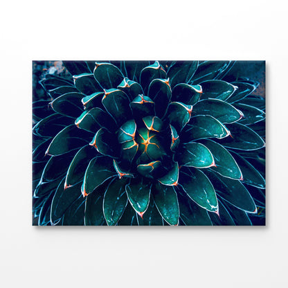 Bella Home Dark Green Cactus Flower Abstract Print Canvas Ready to hang