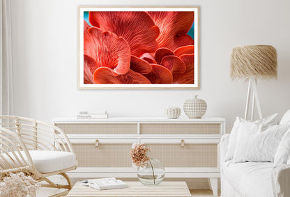 Close Up of a Red Mushroom Home Decor Premium Quality Poster Print Choose Your Sizes