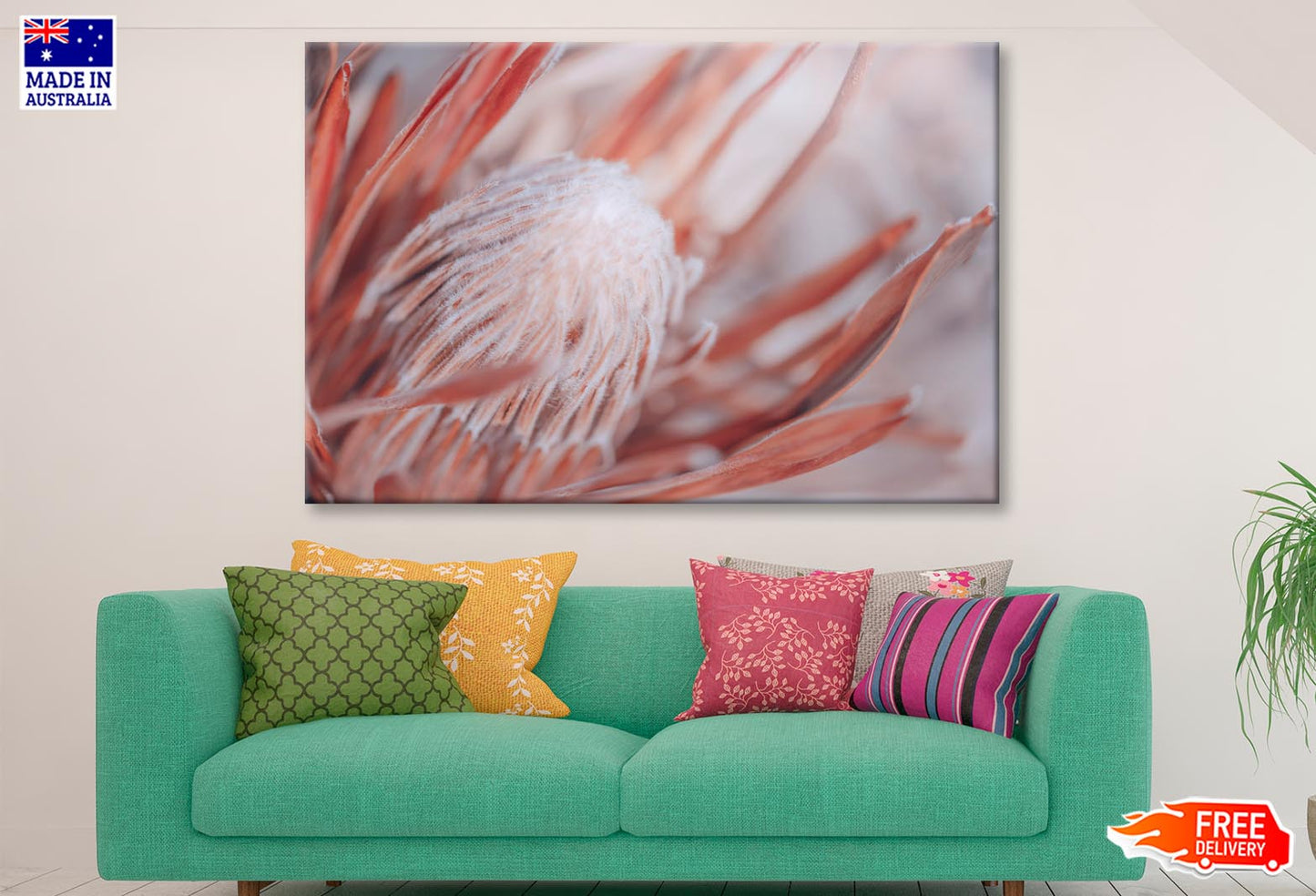 Dried Protea Plant. Floral Background Wall Art Decor 100% Australian Made