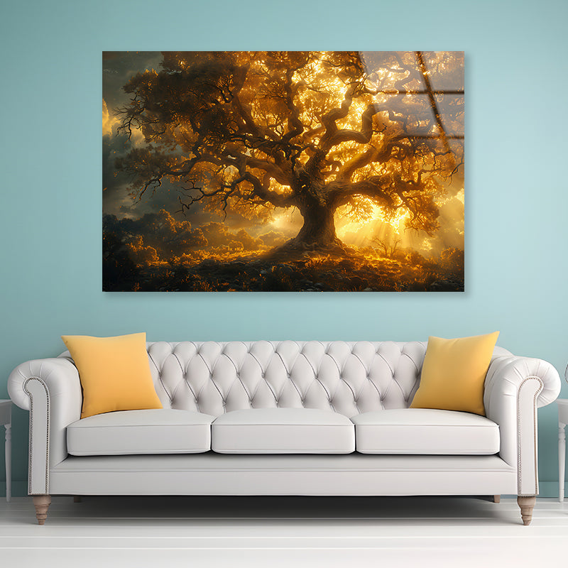 Sunset in the Forest View Acrylic Glass Print Tempered Glass Wall Art 100% Made in Australia Ready to Hang - Bella Home Decor