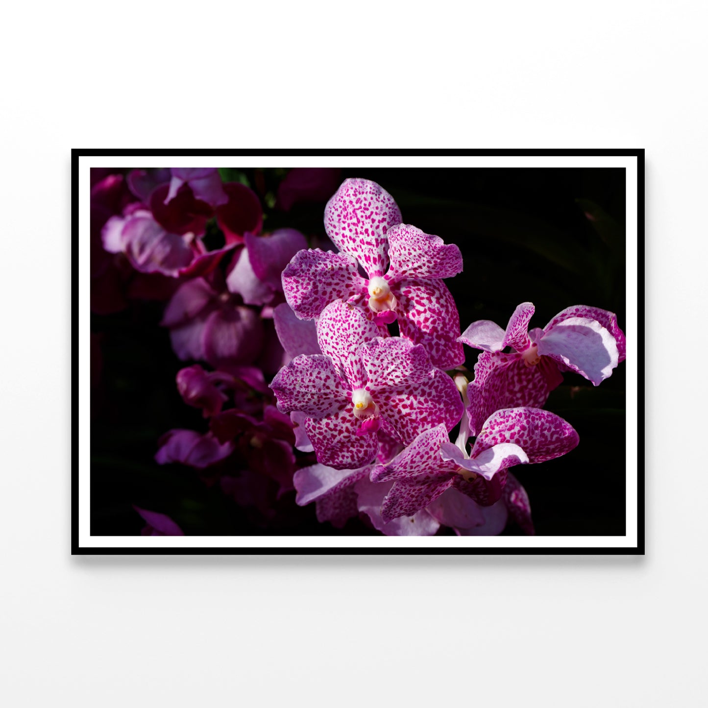 A Close-Up Photo Of Purple Orchid Flowers Home Decor Premium Quality Poster Print Choose Your Sizes