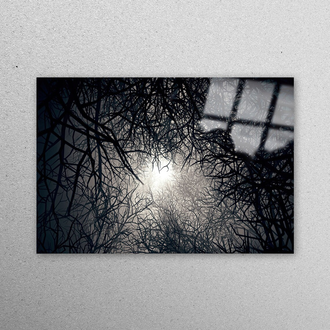 Moonlight, Forest View Acrylic Glass Print Tempered Glass Wall Art 100% Made in Australia Ready to Hang