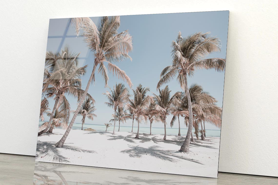 Palm Trees and Sandy Beach Acrylic Glass Print Tempered Glass Wall Art 100% Made in Australia Ready to Hang