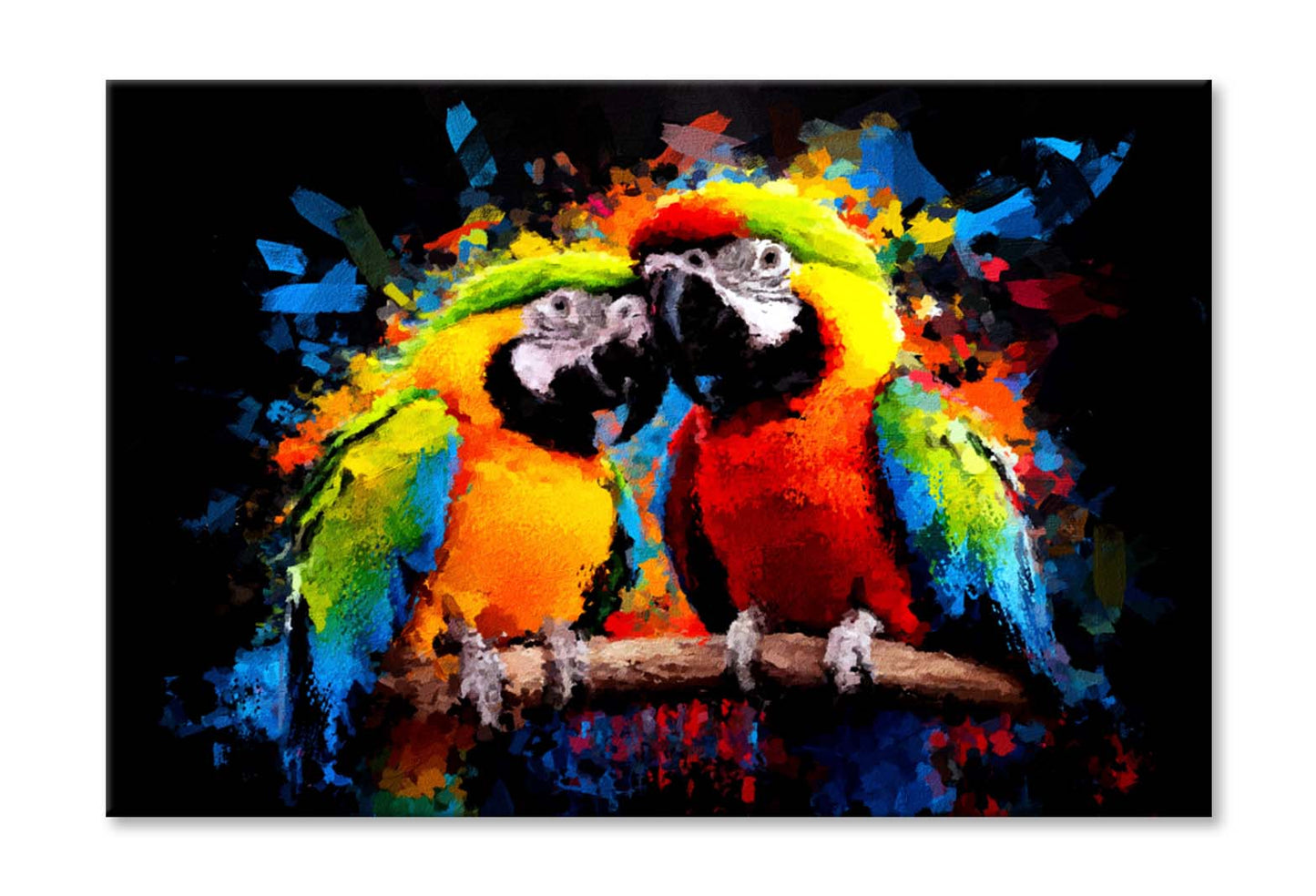 Modern Colorful Lovely Couple Parrot Wall Art Limited Edition High Quality Print