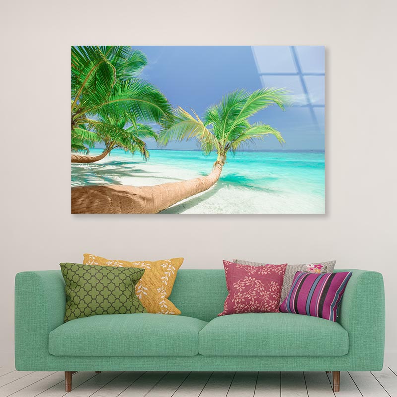 Coconut Trees Leaning to Sea Acrylic Glass Print Tempered Glass Wall Art 100% Made in Australia Ready to Hang