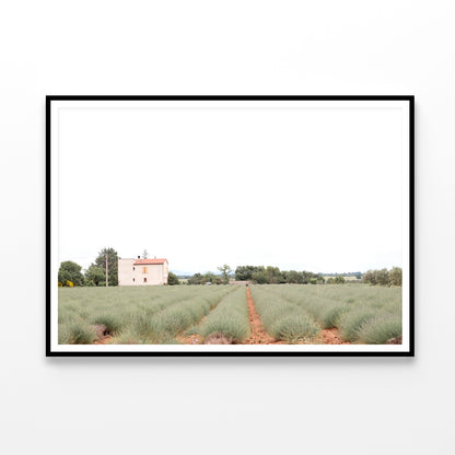 A House Located In a Field with Green Grass Home Decor Premium Quality Poster Print Choose Your Sizes