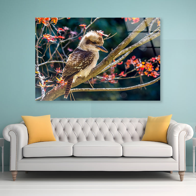 Bird On Branch Red with Flower Acrylic Glass Print Tempered Glass Wall Art 100% Made in Australia Ready to Hang - Bella Home Decor