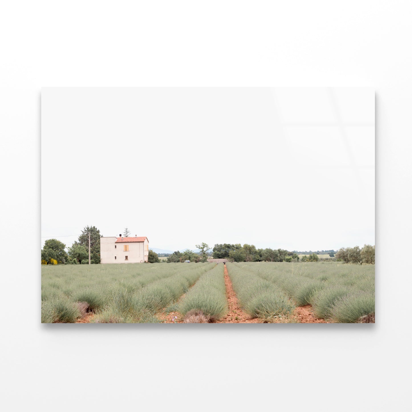 A House Located In a Field with Green Grass Acrylic Glass Print Tempered Glass Wall Art 100% Made in Australia Ready to Hang