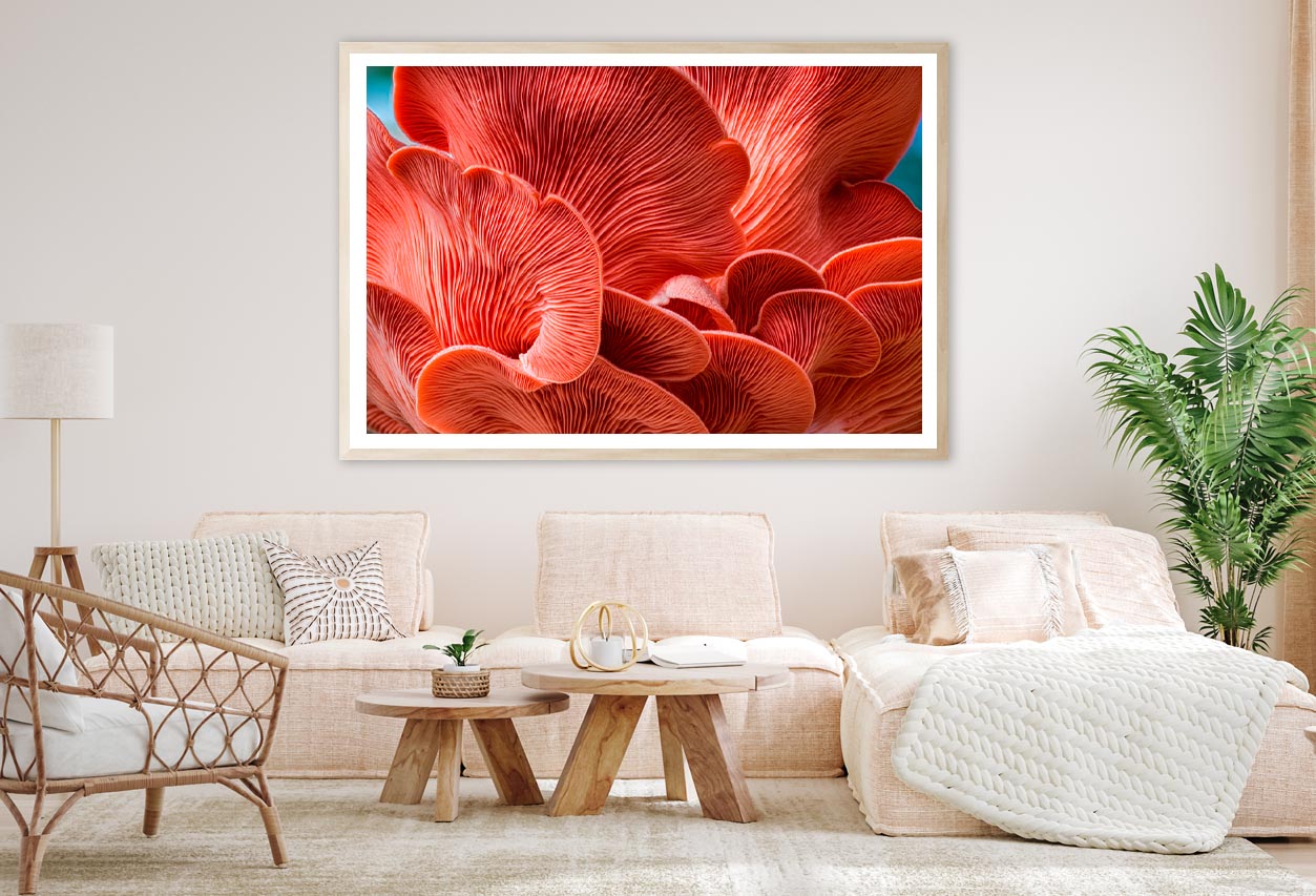 Close Up of a Red Mushroom Home Decor Premium Quality Poster Print Choose Your Sizes