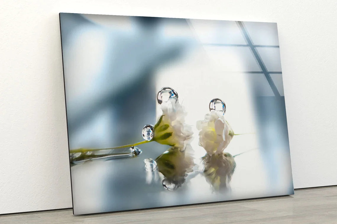 Flowers with Waterdrops UV Direct Aluminum Print Australian Made Quality