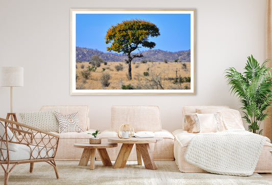 A Tree Standing In the Grasslands in South Africa Home Decor Premium Quality Poster Print Choose Your Sizes