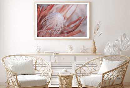 Dried Protea Plant. Floral Background Home Decor Premium Quality Poster Print Choose Your Sizes