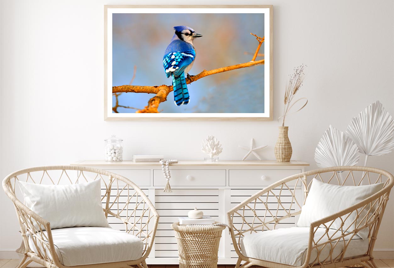 Lue Jay Sitting on A Tree Branch Home Decor Premium Quality Poster Print Choose Your Sizes - Bella Home Decor
