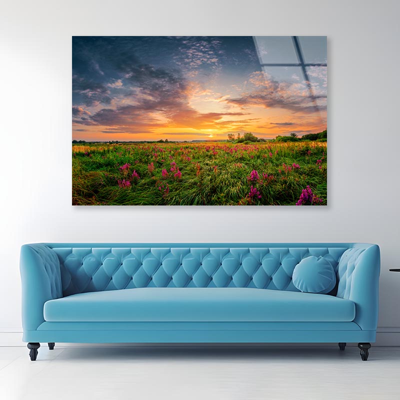 Sun Set Landscape with A Wild Field Full of Purple Flowers Acrylic Glass Print Tempered Glass Wall Art 100% Made in Australia Ready to Hang - Bella Home Decor