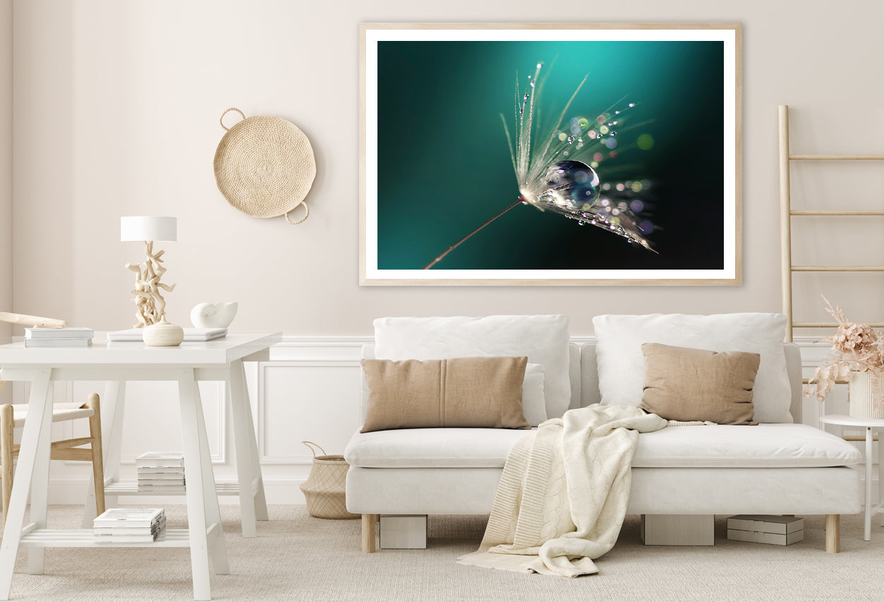 Water Droplet on Common Dandelion Home Decor Premium Quality Poster Print Choose Your Sizes