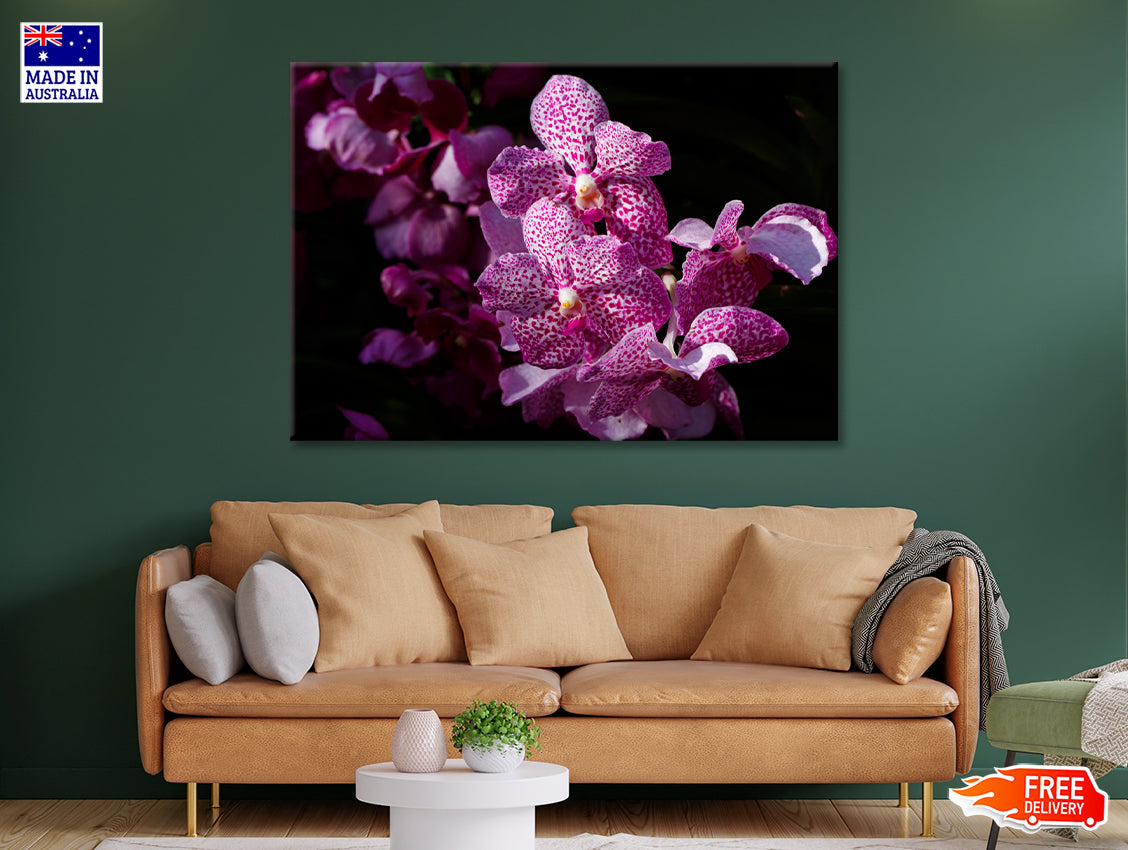 A Close-Up Photo Of Purple Orchid Flowers Print 100% Australian Made