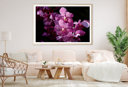 A Close-Up Photo Of Purple Orchid Flowers Home Decor Premium Quality Poster Print Choose Your Sizes