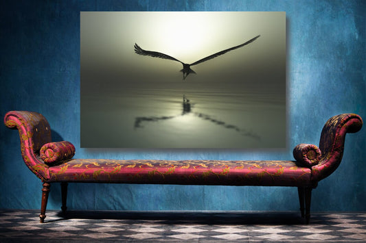 Eagle In Flight UV Direct Aluminum Print Australian Made Quality