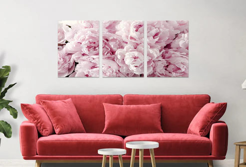 3pcs Peonies Pink Flowers Close up  Wall Art Set Canvas Unframed - High Quality Print 100% Australian Made Wall Canvas