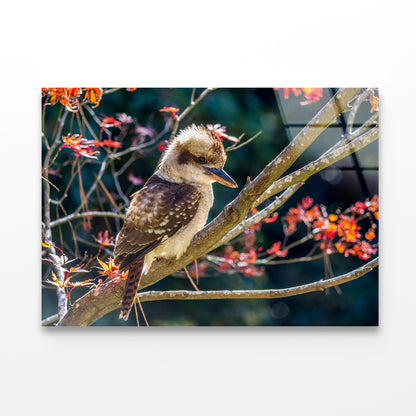 Bird On Branch Red with Flower Acrylic Glass Print Tempered Glass Wall Art 100% Made in Australia Ready to Hang - Bella Home Decor