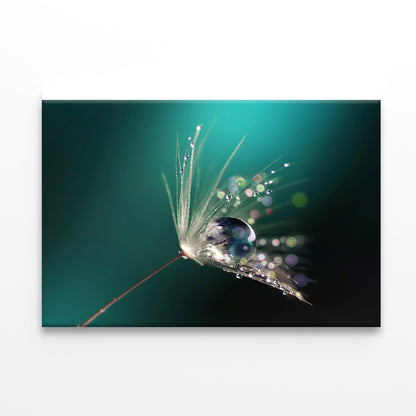 Water Droplet on Common Dandelion Print 100% Australian Made - Bella Home Decor